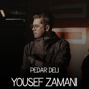 یوسف زمانی پدر (دلی)
