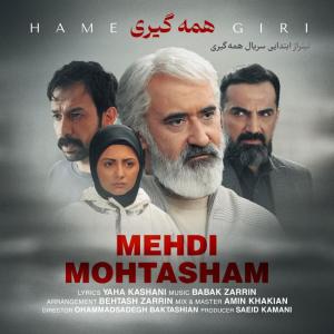 Mehdi Mohtasham Hamegiri