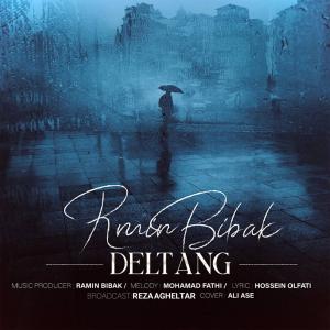 Ramin Bibak Deltang