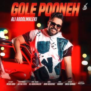 Ali Abdolmaleki Gole Pooneh
