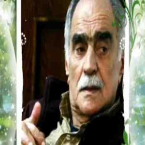 دانلود آهنگ فریدون پوررضا  کاغذ نویس